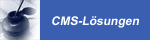 CMS-Angebote mit System